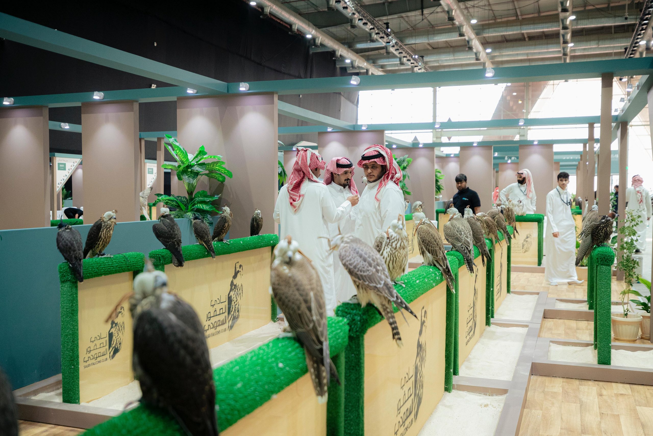 اختتام فعاليات المزاد الدولي لمزارع إنتاج الصقور في الرياض بمبيعات تجاوزت 8 ملايين ريال