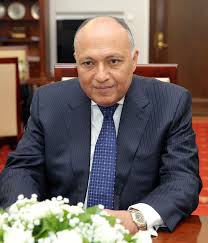 وزير الخارجية المصري أمام مجلس السلم الإفريقي: الحل بيد السودانيين