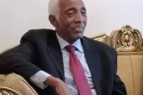 فى تذكر المرحوم دكتور حسين محمد عثمان رئيس المجلس الأعلى للجالية السودانية بمصر