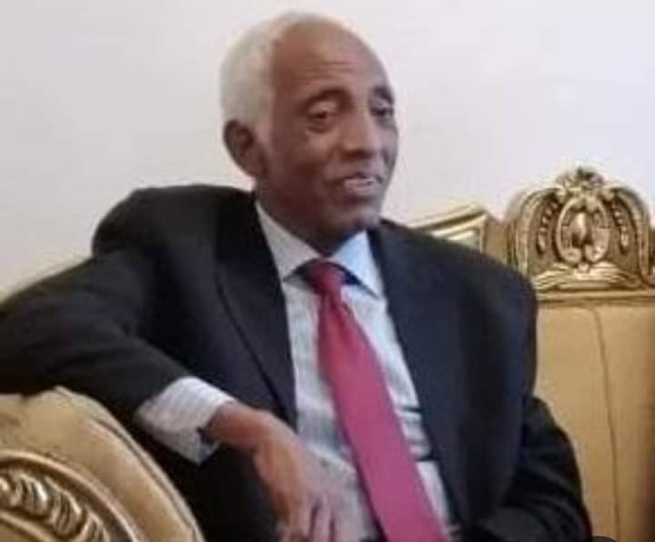 فى تذكر المرحوم دكتور حسين محمد عثمان رئيس المجلس الأعلى للجالية السودانية بمصر